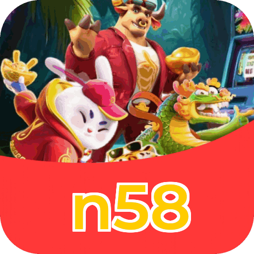 Interface n58